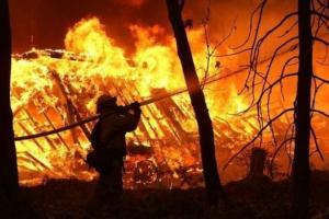 Наслідки пожеж на Луганщині та COVID-19: головні новини регіону за 3 жовтня