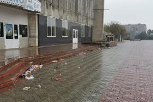 "Свинарник": как медленно, но уверенно Лисичанск превращается в стихийную свалку