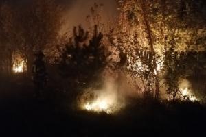 Зеленський не пов'язує пожежу на Луганщині з обстрілами бойовиків, в ООС запевняють у зворотньому