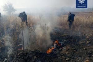 На околиці Лисичанська сталася пожежа: постраждали гаражі та дачі