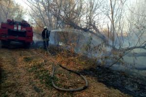 На Луганщині продовжують гасити два осередки пожеж: оперативна інформація