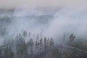 Луганщина получила деньги из бюджета для пострадавших при пожарах