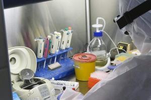 Результати виборів і нові жертви коронавірусу: головні новини регіону за 26 жовтня
