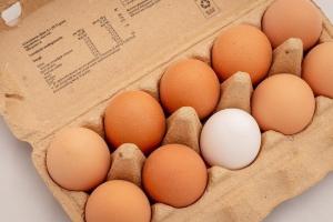 В Украине подорожают яйца и мясо птицы: с чем это связано