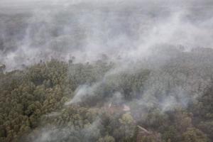 На Луганщині ліквідували 116 осередків пожеж, 30 продовжують горіти, - МВС