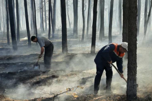 На Луганщині врятували від вогню дві електропідстанції