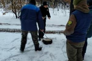 На Луганщині на місцях пожеж орудують "чорні лісоруби"