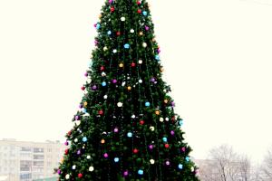 Глава ВГА "подарил" жителям Лисичанска новогоднюю елку за счет средств бюджета