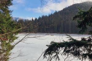 У Карпатах заледеніло знамените озеро Синевир: фото