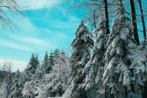 На Водохреща Україну накриє антициклон: якою буде погода 19 січня