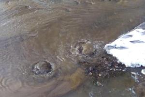 "Пливемо": через порив вулицями Лисичанська розливаються річки (відео)