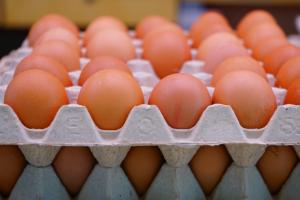 Ціни на яйця в Україні значно зросли: названа причина