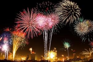 В одном из городов Украины от новогодних салютов умерла собака, еще одну парализовало