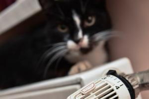 Правительство одобрило выплаты компенсаций за электроотопление: кто может их получить