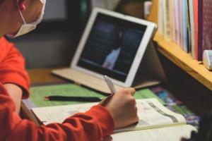 Школы Лисичанска перешли на дистанционное обучение