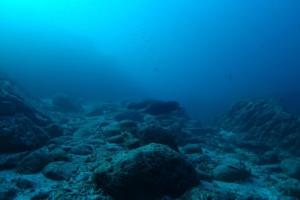 Моторошні таємниці океану: що приховують в собі глибинні води