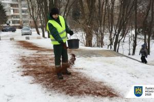 Безпечно та ароматно: У Львові почали боротися з ожеледицею за допомогою кавової гущі
