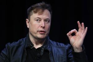 Илон Маск заявил, что чипировал обезьяну, и теперь она может играть в видеоигры силой мысли