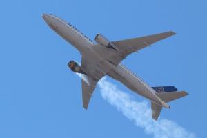 В США пассажирский Boeing загорелся в воздухе: обломки упали на жилой район