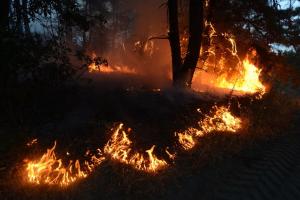 Масштабні пожежі на Луганщині: ДБР повідомило про підозру трьом співробітникам ДСНС