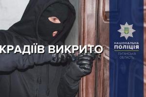 На Луганщине полицейские в течение суток раскрыли восемь краж