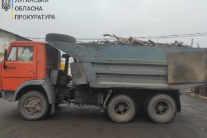Розкрадання лісу та систематичні хабарі: На Луганщині заарештували посадовицю лісгоспу