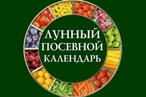 Посевной календарь на апрель: что и когда нужно сажать