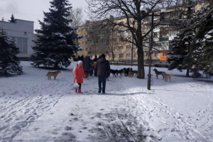 "Собачий конвой", або Як діти в Лисичанську бояться ходити вулицями міста