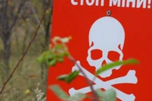 Двое пьяных боевиков подорвались на собственном минном поле, - разведка