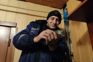 Сотрудники ГСЧС в Лисичанске спасли котенка и песика: фото