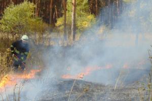 У Лисичанську засідала комісія ТЕБ і НС з питання відпочинку людей на воді та природних пожеж