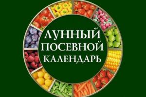Лунный посевной календарь на май: что и когда нужно сажать