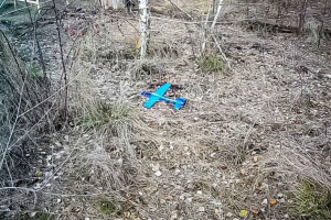 На Донбассе оккупанты запустили в сторону позиций ОС игрушечный самолет, начиненный взрывчаткой