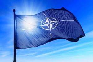 НАТО - единственный путь к завершению войны на Донбассе, - Зеленский