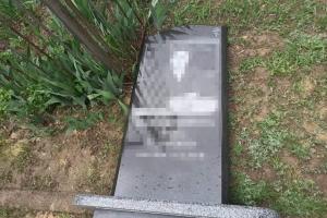 "Надругательство над могилой": На Луганщине полицейские задержали вандалов