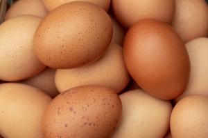 В Украине подешевеет популярный продукт, который есть в каждом холодильнике