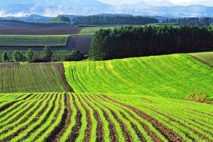 Аграрії, які багато років працюють на земельній ділянці, отримають переважне право її викупу, - Шмигаль