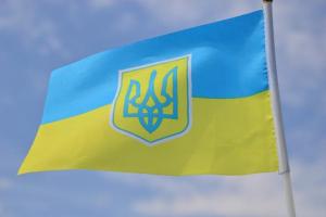 Сегодня празднуют День Конституции Украины