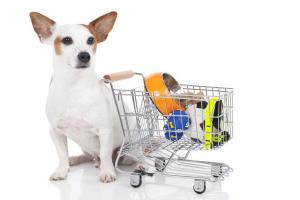 Activdog - аксессуары для животных от проверенного производителя