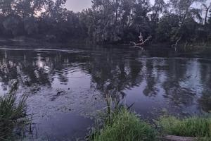 У річці Сіверський Донець у Лисичанську потонула 9-річна дівчинка