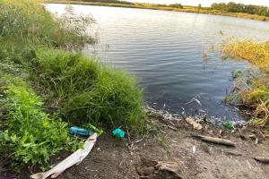 На Луганщині фахівці з'ясовують причини мору риби у водоймі