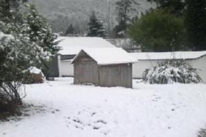 Исторические рекорды побиты: В Африке зафиксировали морозы и снег