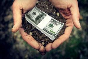 Кожен українець має право на землю: чому вона дістанеться не всім
