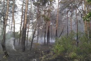 На Луганщине загорелся лес: пожар оперативно ликвидировали