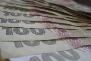 В Украине проведут массовую проверку получателей субсидий: инспекторы будут ходить по домам