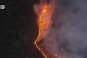 "Кінець світу": В охопленій пожежами Якутії посеред дня "зникло" сонце