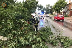 У кількох областях України пронісся шторм: пошкоджено та підтоплено будинки, повалено дерева