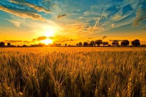 Погода на Луганщині: буде пекти і гриміти, а ночі стануть прохолоднішими