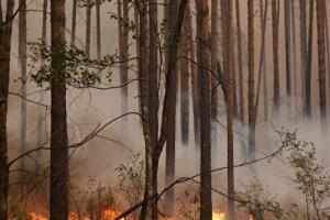 В России лесные пожары подобрались к ядерному центру в Сарове