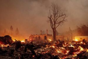 У Каліфорнії лісові пожежі перетворили ціле місто на згарище: фото